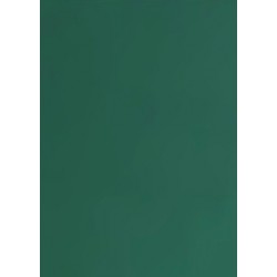 Tonkarton 220g A4 - jedlově zelená