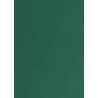 Tonkarton 220g A4 - jedlově zelená