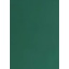 Tonkarton 220g A4 - jedlově zelená