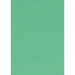 Tonkarton 220g A4 - mátová