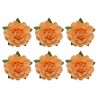 Set papírových růžiček 18mm, sv.oranžové, 6ks