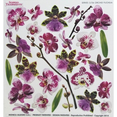 Sospeso fólie 24x24 - orchid fuchsia