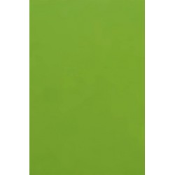 Tonkarton 220g A4 - světle zelená