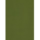 Tonkarton 220g A4 - mechově zelená