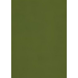Tonkarton 220g A4 - mechově zelená