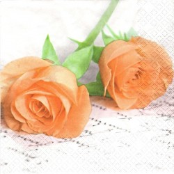 Oranžové růže 33x33