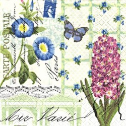Carte postale, hyacint 25x25