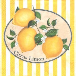Citrus Limon 33x33