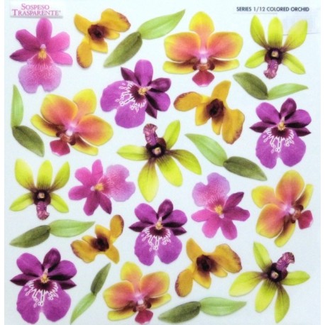 Sospeso folie 24x24 - barevné orchideje