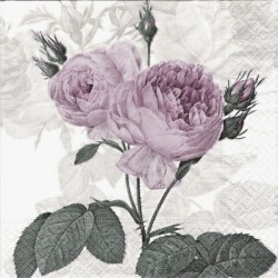 Purple Rose 33x33