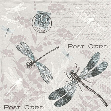 Post Card a vážky 33x33