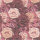 Alinka Vintage Rose 33x33