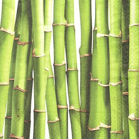 Zelený bambus 33x33