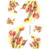 Papír rýžový A4 Tulipány