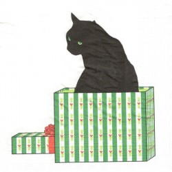 Kočka v krabici 33x33
