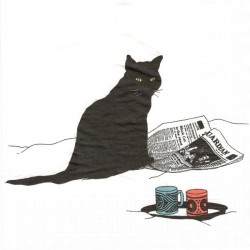 Kočka a noviny 33x33