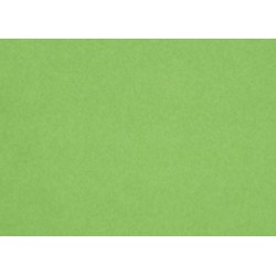 Moosgumi list 20x29cm sv.zelená