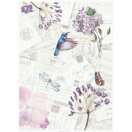 Papír rýžový A4 Dopisy, kolibřík, květy a hmyz
