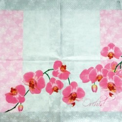 Orchid 33x33