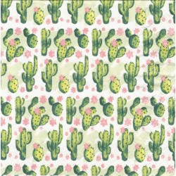 Malé kaktusy 33x33