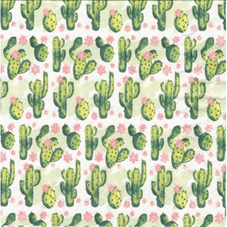 Malé kaktusy 33x33