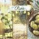 Olives 33x33