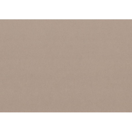 Barevný karton A4, 160g hnědý