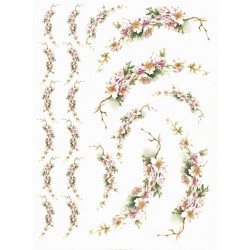 Papír rýžový A4 Větvičky s trny a květy