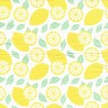 Limonum 25x25
