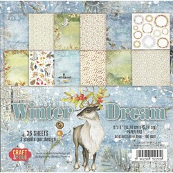 Sada papírů 15x15 Winter Dream (Craft & You)