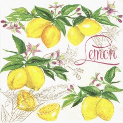 Lemon 33x33