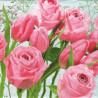 Tulipány mezi růžemi 33x33