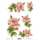 Papír rýžový A4 Růžová růže s kapkou rosy