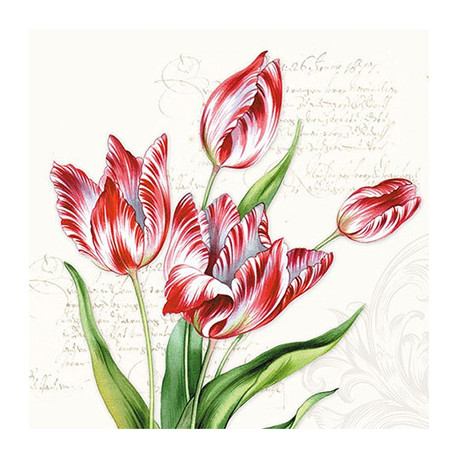 Žíhané tulipány 33x33