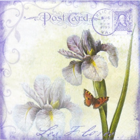 Kosatce Post Card 33x33