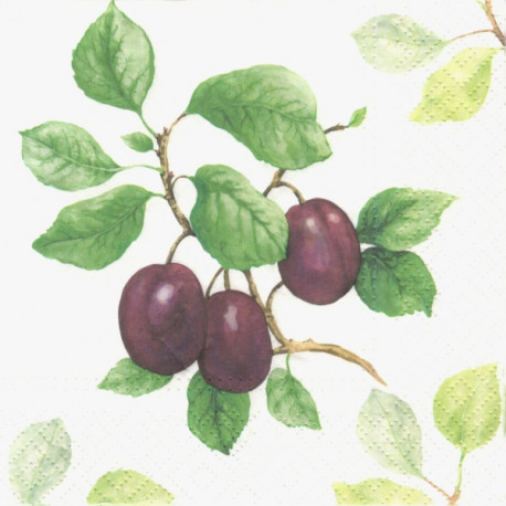 Švestky 33x33