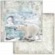 Sada papírů 30,5x30,5 190g Arctic Antarctic
