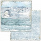 Sada papírů 30,5x30,5 190g Arctic Antarctic
