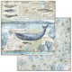 Sada papírů 30,5x30,5 190g Arctic Antarctic