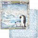 Sada papírů 30,5x30,5 190g Arctic Antarctic