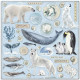 Sada papírů 30,5x30,5 190g Arctic Antarctic