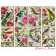 Sada scrap.kartiček 7x10,8cm - Birds & Roses (Decorer)