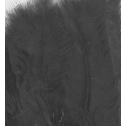 Peříčka Marabu 15ks, černé