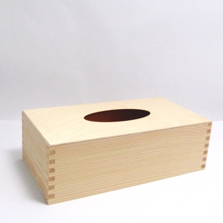 Poklop na kapesníky s dnem (DP)