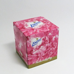 Kapesníčky papírové ve čtvercové krabičce (Linteo)