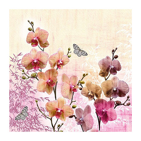 Orchid Orient 33x33