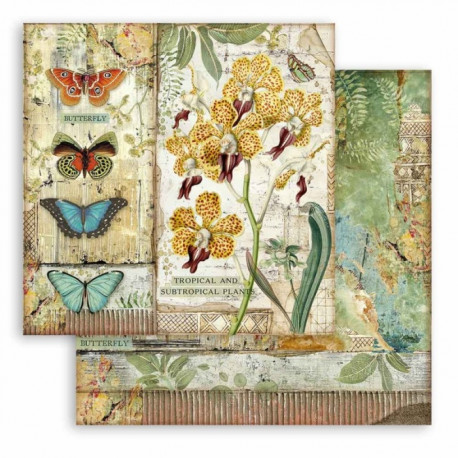 Amazonia, orchidej a motýli 30,5x30,5 scrapbook