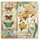 Amazonia, orchidej a motýli 30,5x30,5 scrapbook