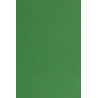 Tonkarton 220g A4 - smaragdová (F)