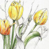 Žluté tulipány 33x33